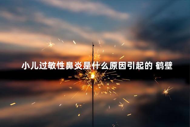 小儿过敏性鼻炎是什么原因引起的 鹤壁市人民医院可以查过敏源吗